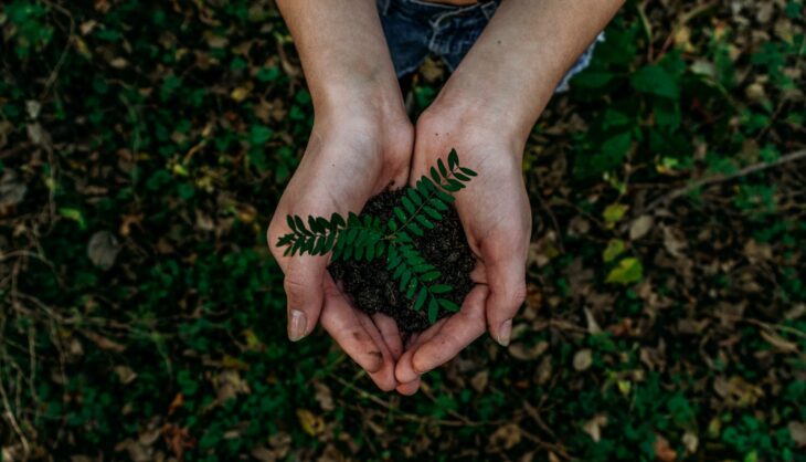 finanziamento per la transizione energetica