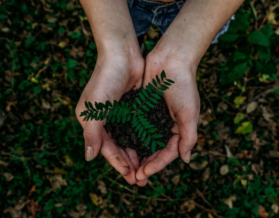 finanziamento per la transizione energetica